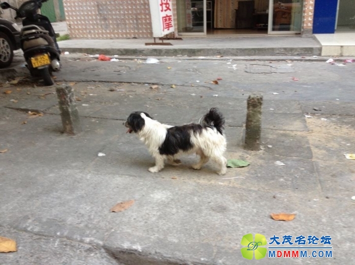 QQͼƬ20131020084140.jpg