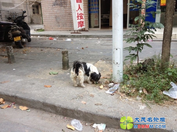 QQͼƬ20131020084208.jpg