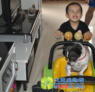 QQͼƬ20131019171331.jpg