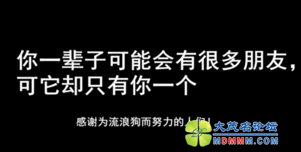 QQͼƬ20131021114653.jpg