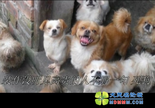 QQͼƬ20131021120231.jpg