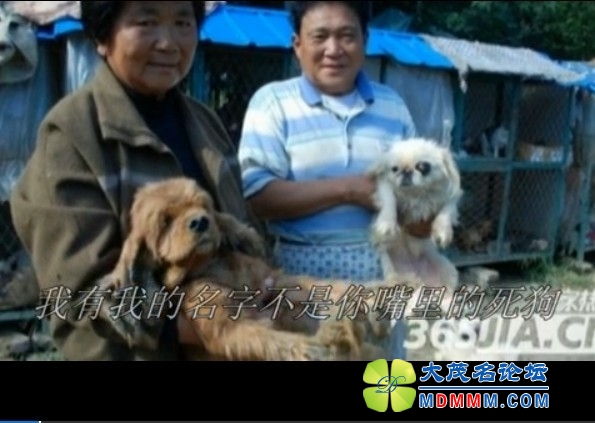 QQͼƬ20131021120412.jpg