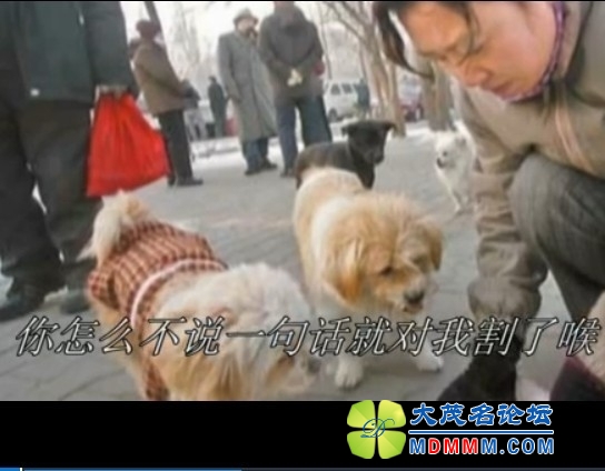 QQͼƬ20131021121012.jpg