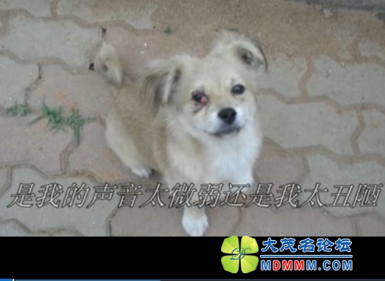 QQͼƬ20131021121156.jpg