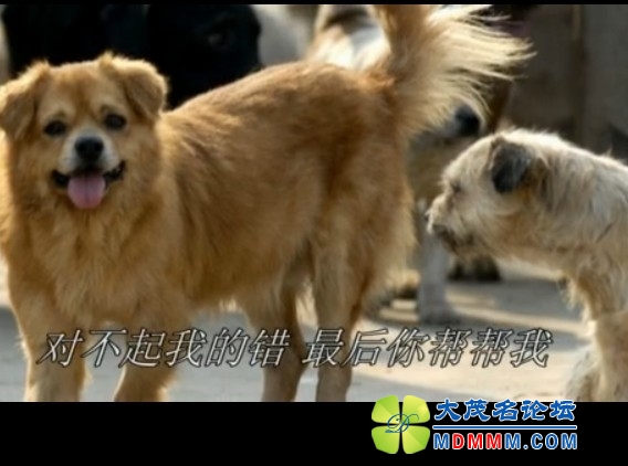 QQͼƬ20131021121233.jpg