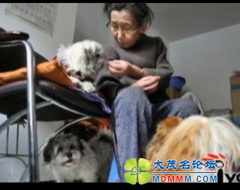 QQͼƬ20131021121305.jpg