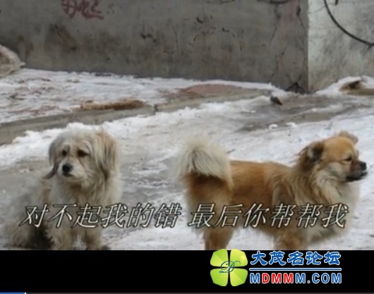 QQͼƬ20131021121603.jpg