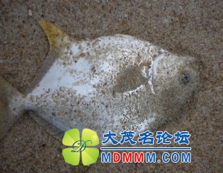 QQͼƬ20131022094210.jpg