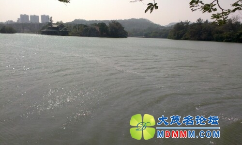 IMG20131025125833.jpg