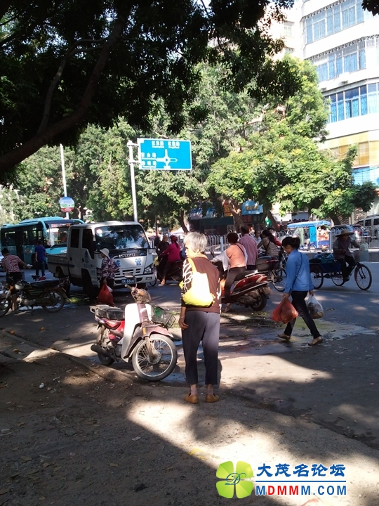 WP_001662.jpg