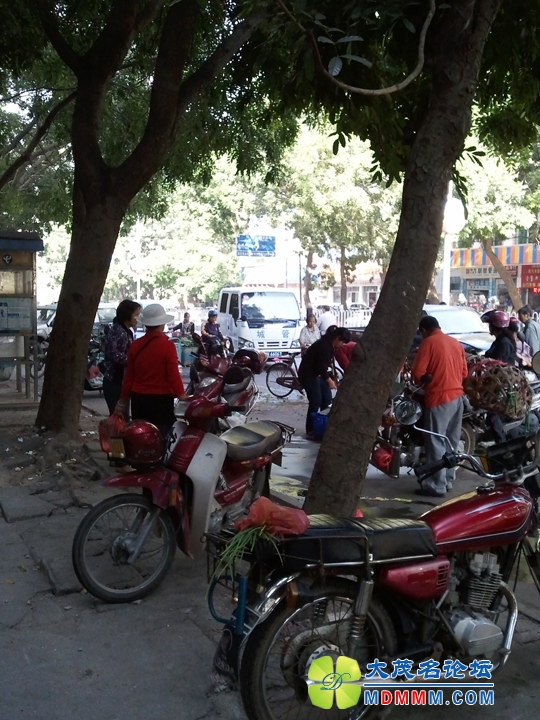 WP_001669.jpg