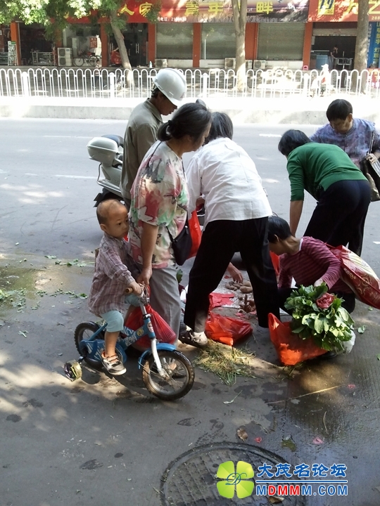 WP_001683.jpg