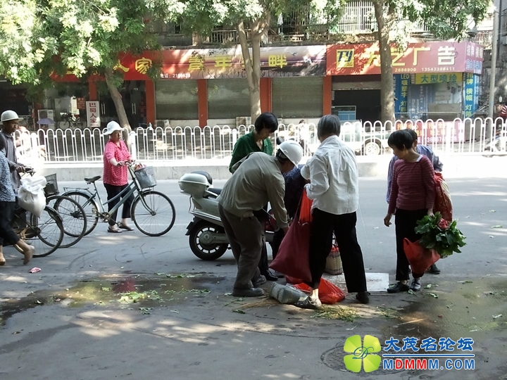 WP_001686.jpg