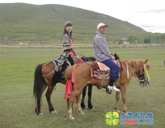 QQͼƬ20131028130213.jpg