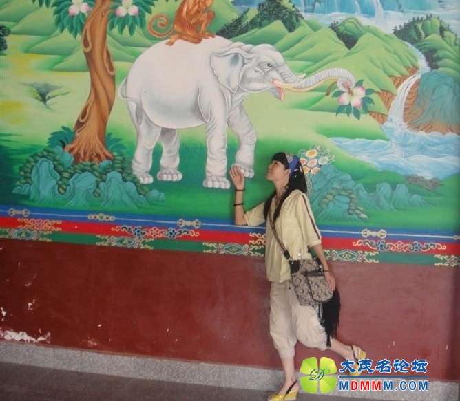 QQͼƬ20131028131112.jpg