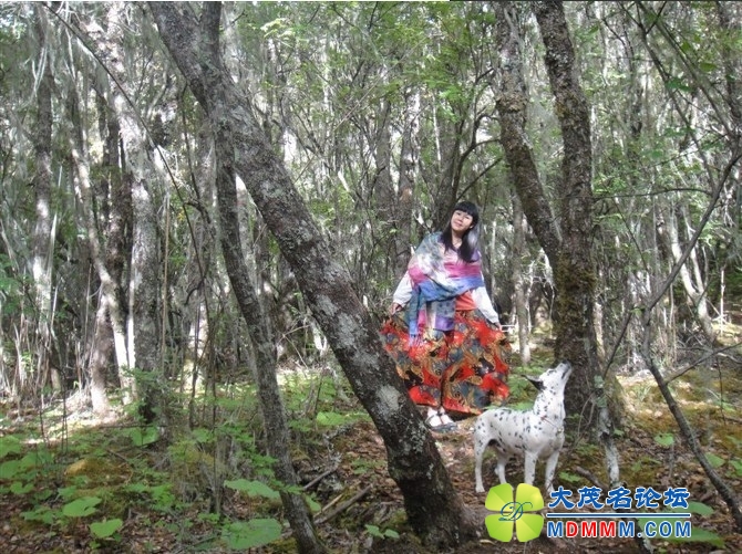 QQͼƬ20131028130438.jpg
