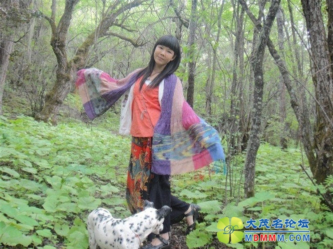 QQͼƬ20131028130533.jpg