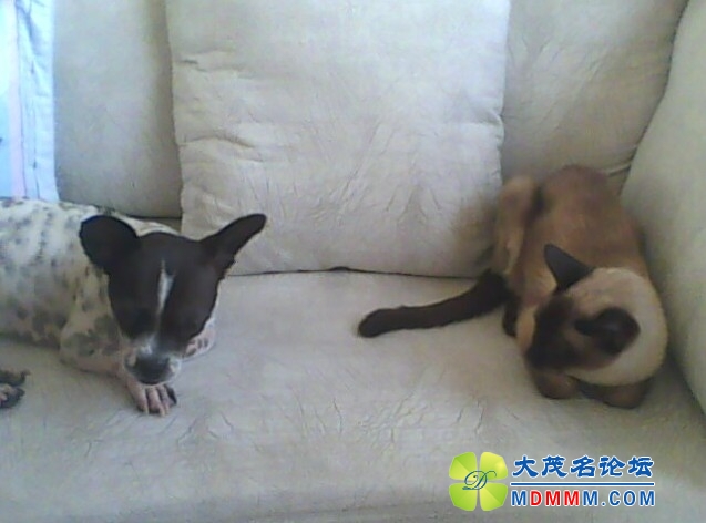 QQͼƬ20131031131920.jpg