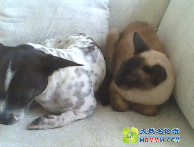 QQͼƬ20131031131951.jpg