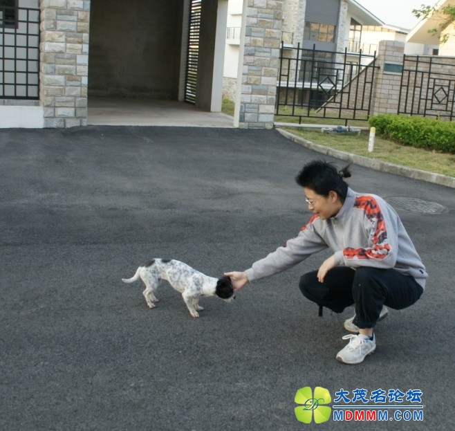 QQͼƬ20131104180533.jpg