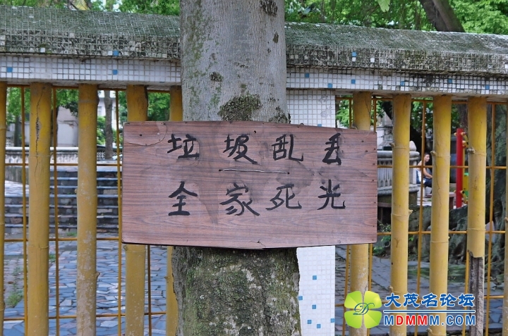 P1010181.JPG