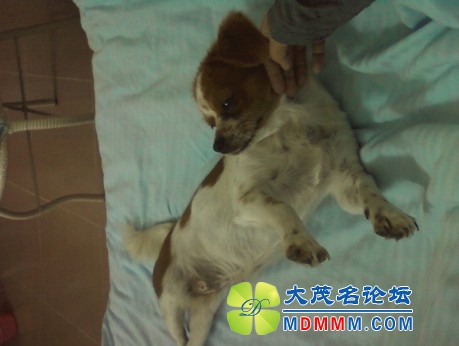 QQͼƬ20131030105856.jpg