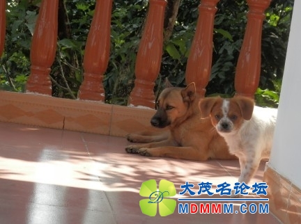 QQͼƬ20131107224848.jpg