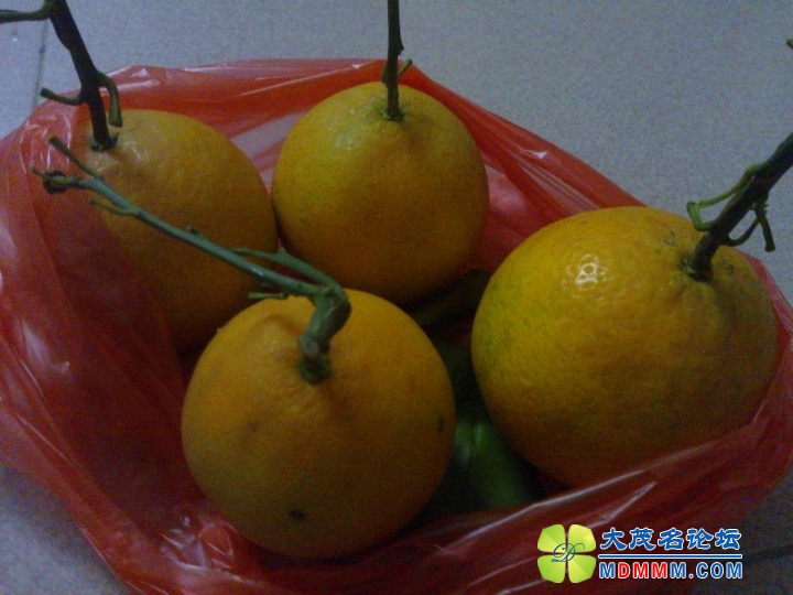 QQͼƬ20131109193907.jpg