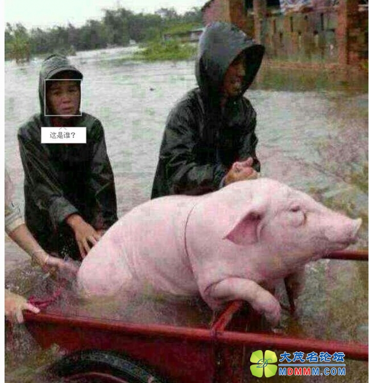 QQͼƬ20131112151054.jpg