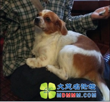 QQͼƬ20131112215405.jpg