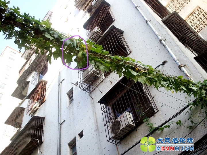 WP_001753.jpg