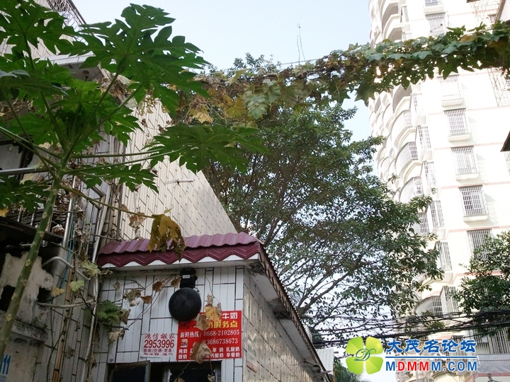 WP_001736.jpg