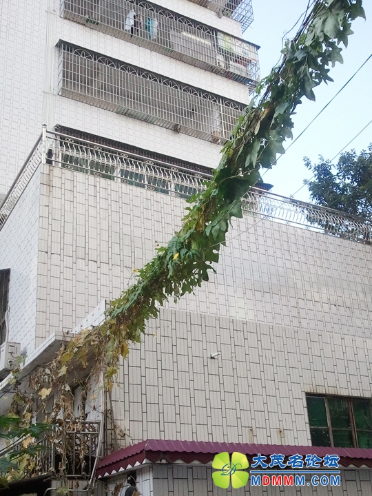 WP_001751.jpg