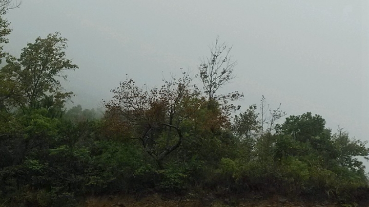 IMG_20131114_083551.jpg