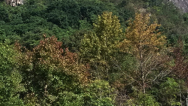 IMG_20131115_100113.jpg