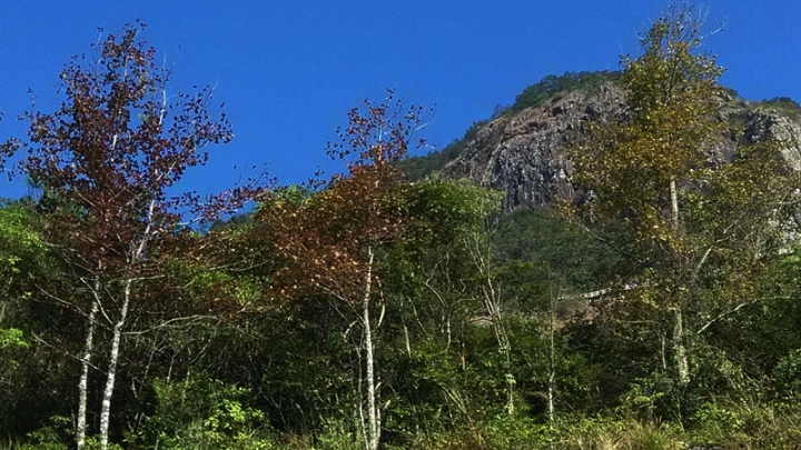 IMG_20131115_100254.jpg