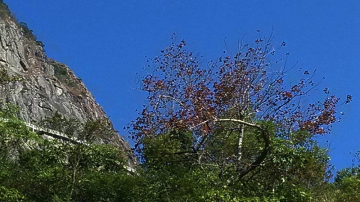 IMG_20131115_100228.jpg
