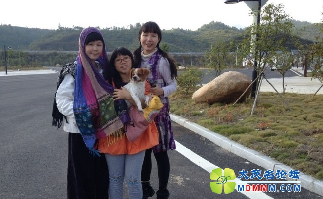 QQͼƬ20131115205332.jpg