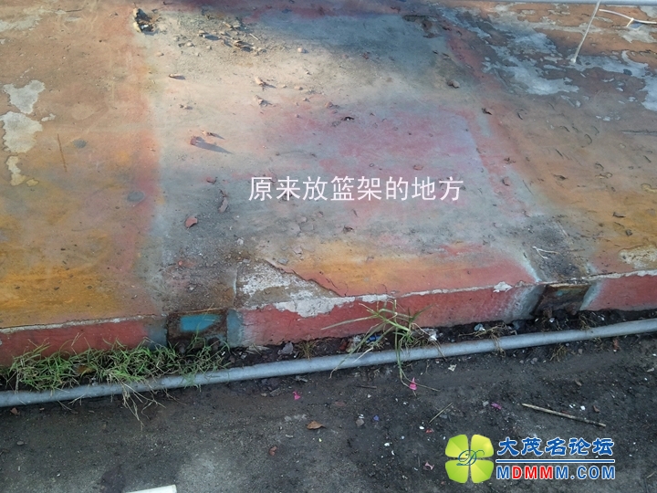 WP_001878.jpg