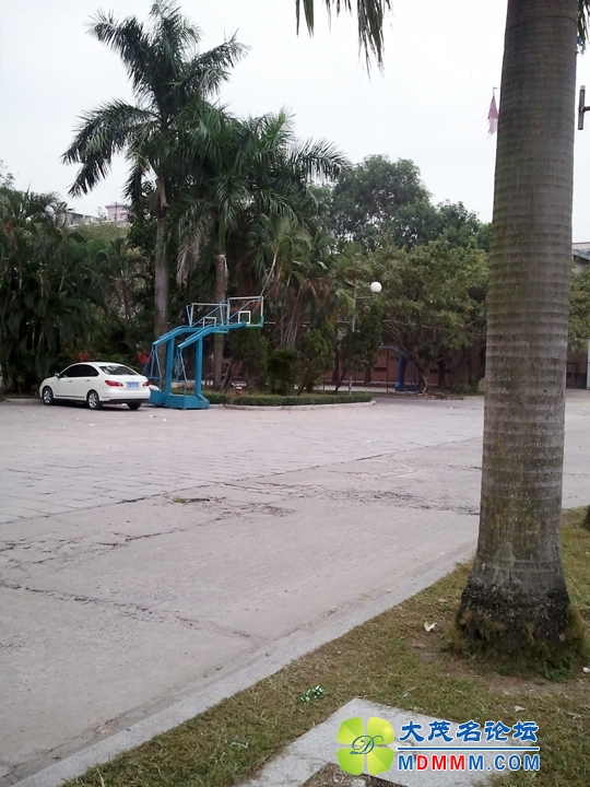 WP_001906.jpg