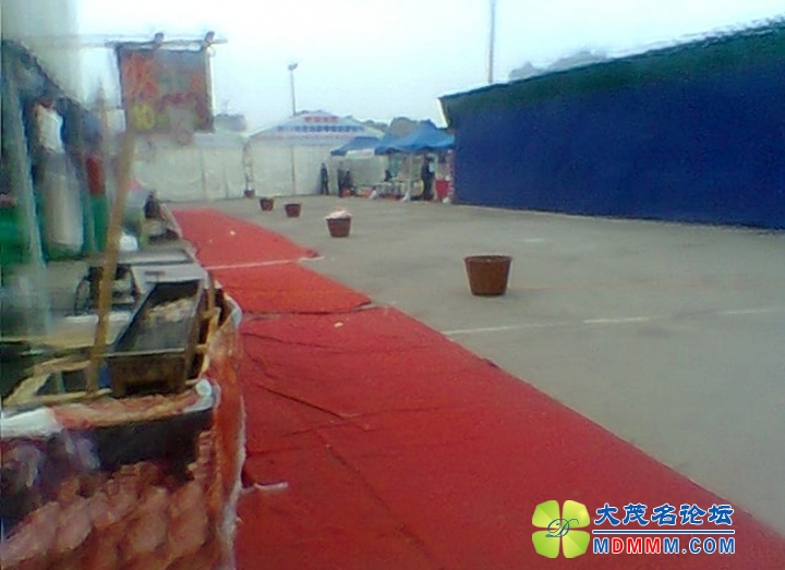 Ƭ0055.jpg