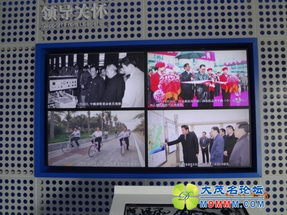 쵼2.JPG