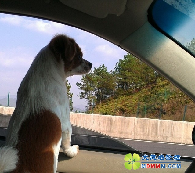QQͼƬ20131119235430.jpg