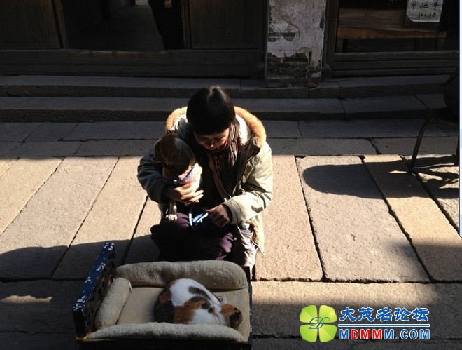 QQͼƬ20131120202501.jpg