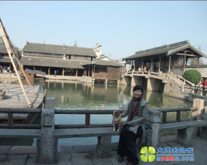 QQͼƬ20131120215951.jpg