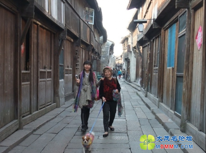 QQͼƬ20131120224720.jpg