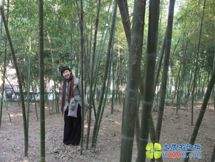 QQͼƬ20131120225151.jpg