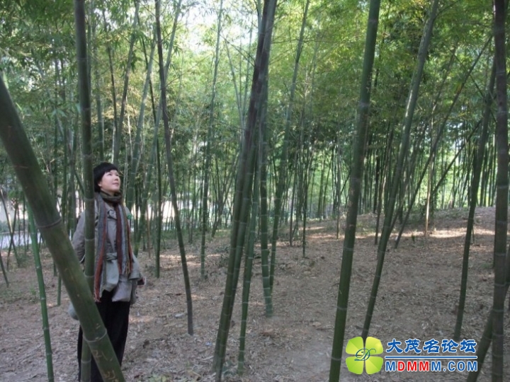 QQͼƬ20131120225218.jpg
