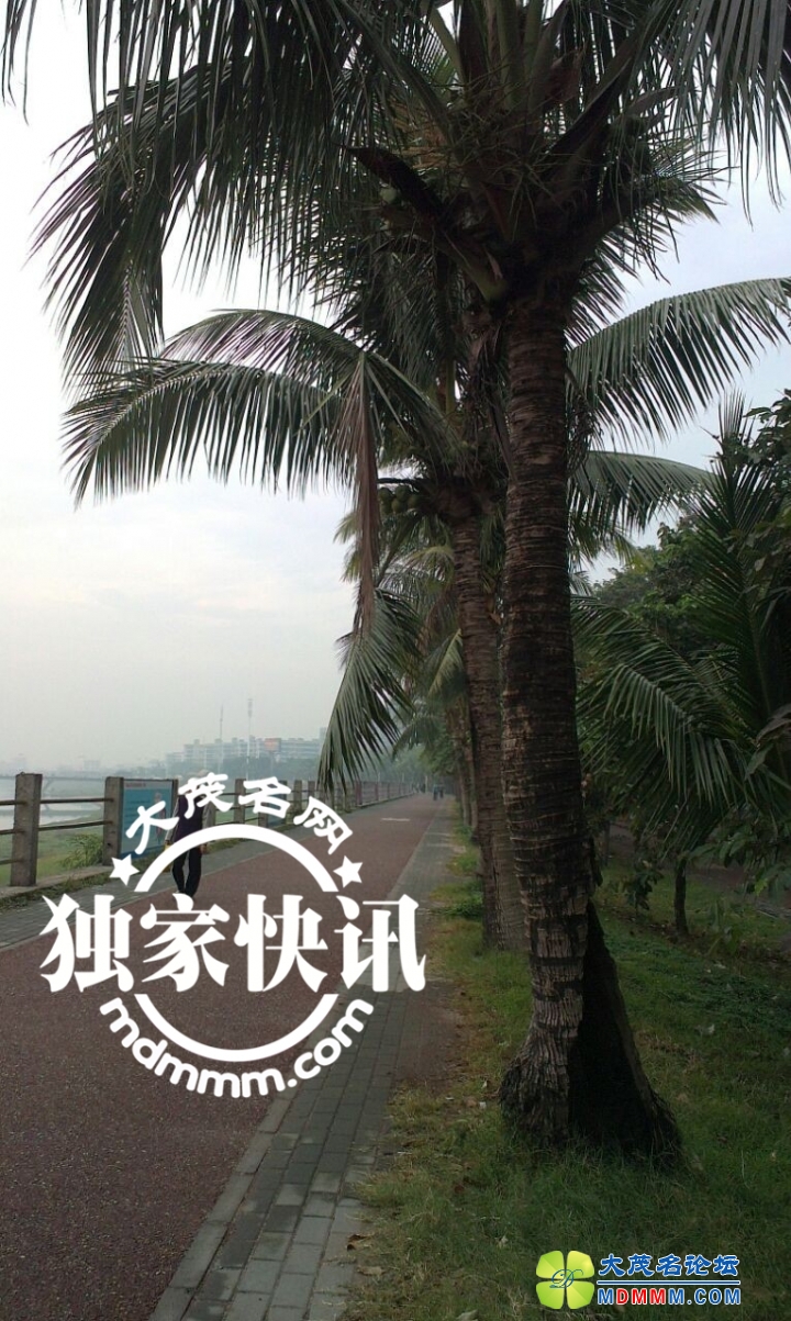 QQͼƬ20131121083047.jpg