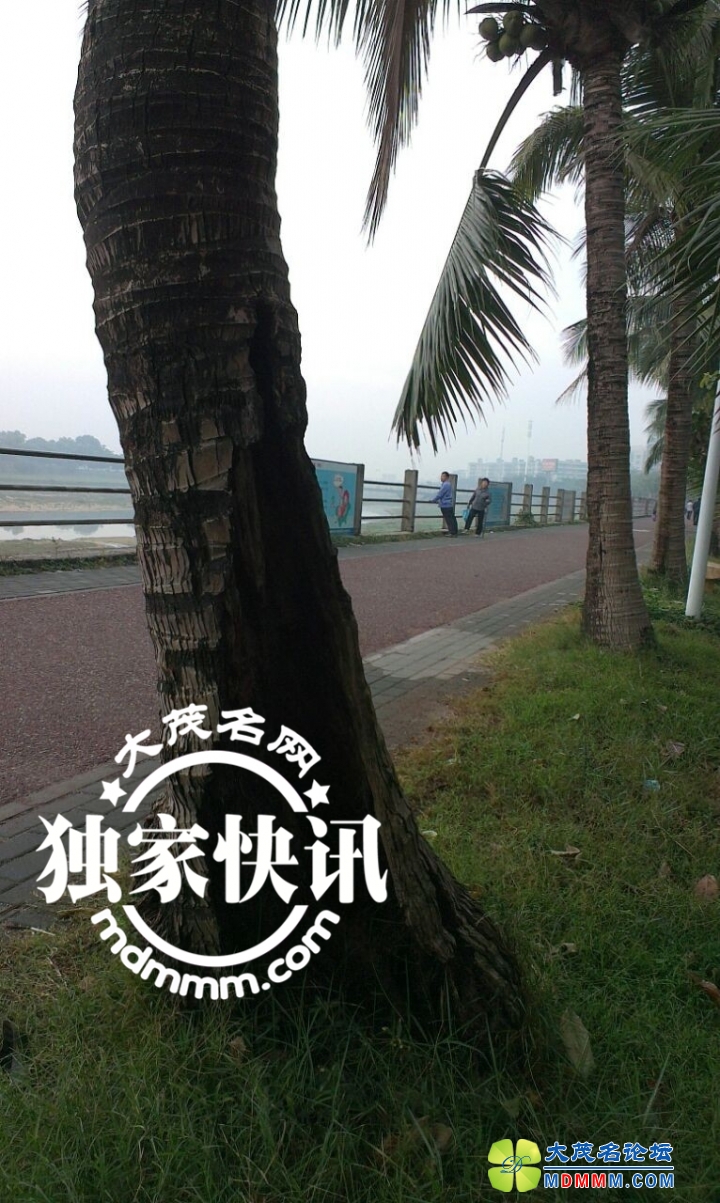 QQͼƬ20131121083220.jpg